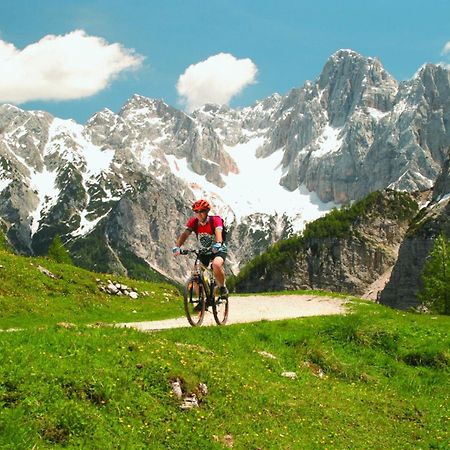Apartma Gaja Kranjska Gora Ngoại thất bức ảnh